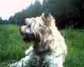 999handy-bild-0018