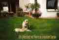 henry-und-winston1_k